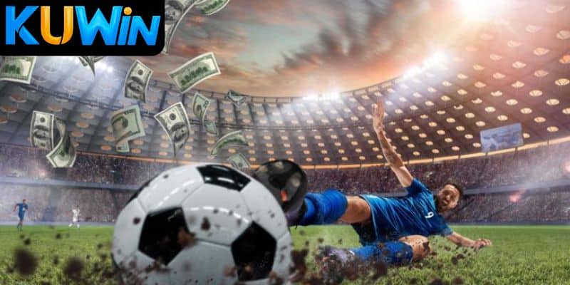 Thể thao Kuwin và bảng so sánh